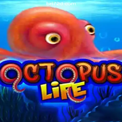 Exploring the Exciting World of OctopusLife and the 72d.COM Platform